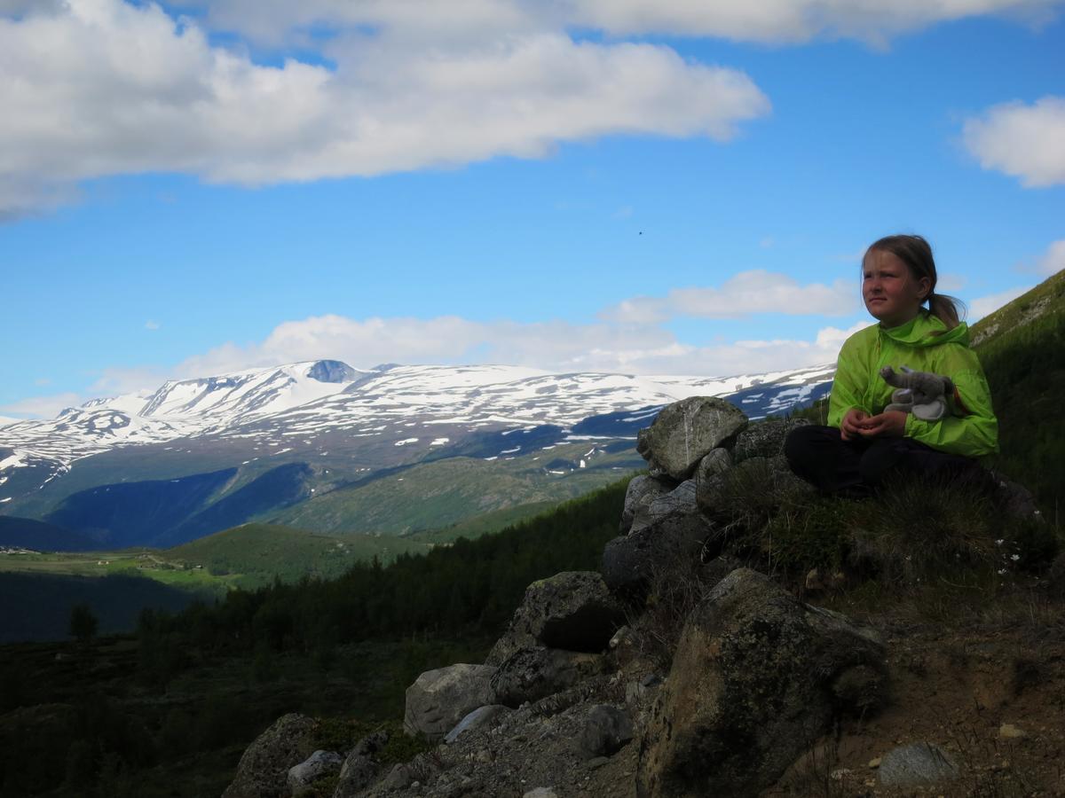 Вілла Strind Gard, Visdalssetra Boverdalen Екстер'єр фото
